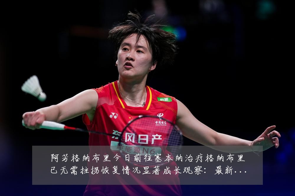 阿芳格纳布里今日前往塞本纳治疗格纳布里已无需拄拐恢复情况显著成长观察：最新赛事动态与深度分析